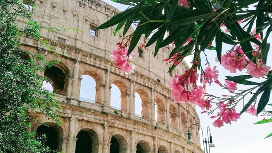 Rome: Full-Day Shore Excursion From Civitavecchia Port