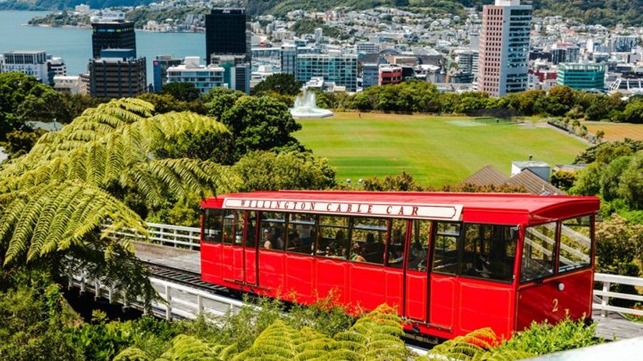 Wellington Half-Day City Tour