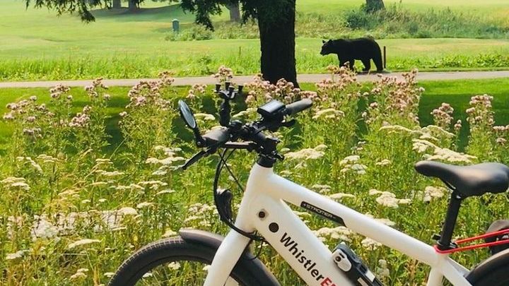 Whistler E-Bike Tour