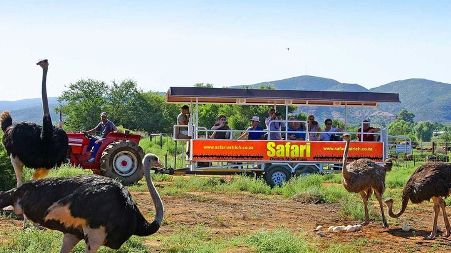 3 Days 2 Nights Garden Route Private Tour from Cape Town