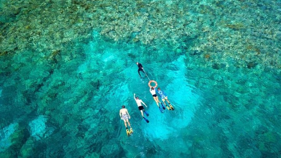 Premium Half-Day Outer Reef Snokel Tour