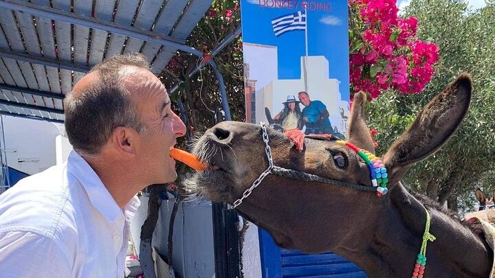 Authentic Pyrgos Village Donkey Ride and Feeding Experience
