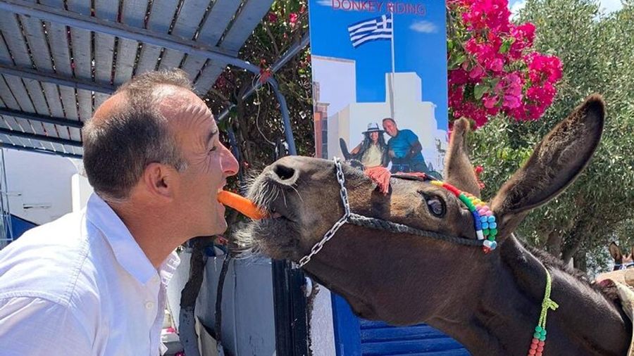 Authentic Pyrgos Village Donkey Ride and Feeding Experience