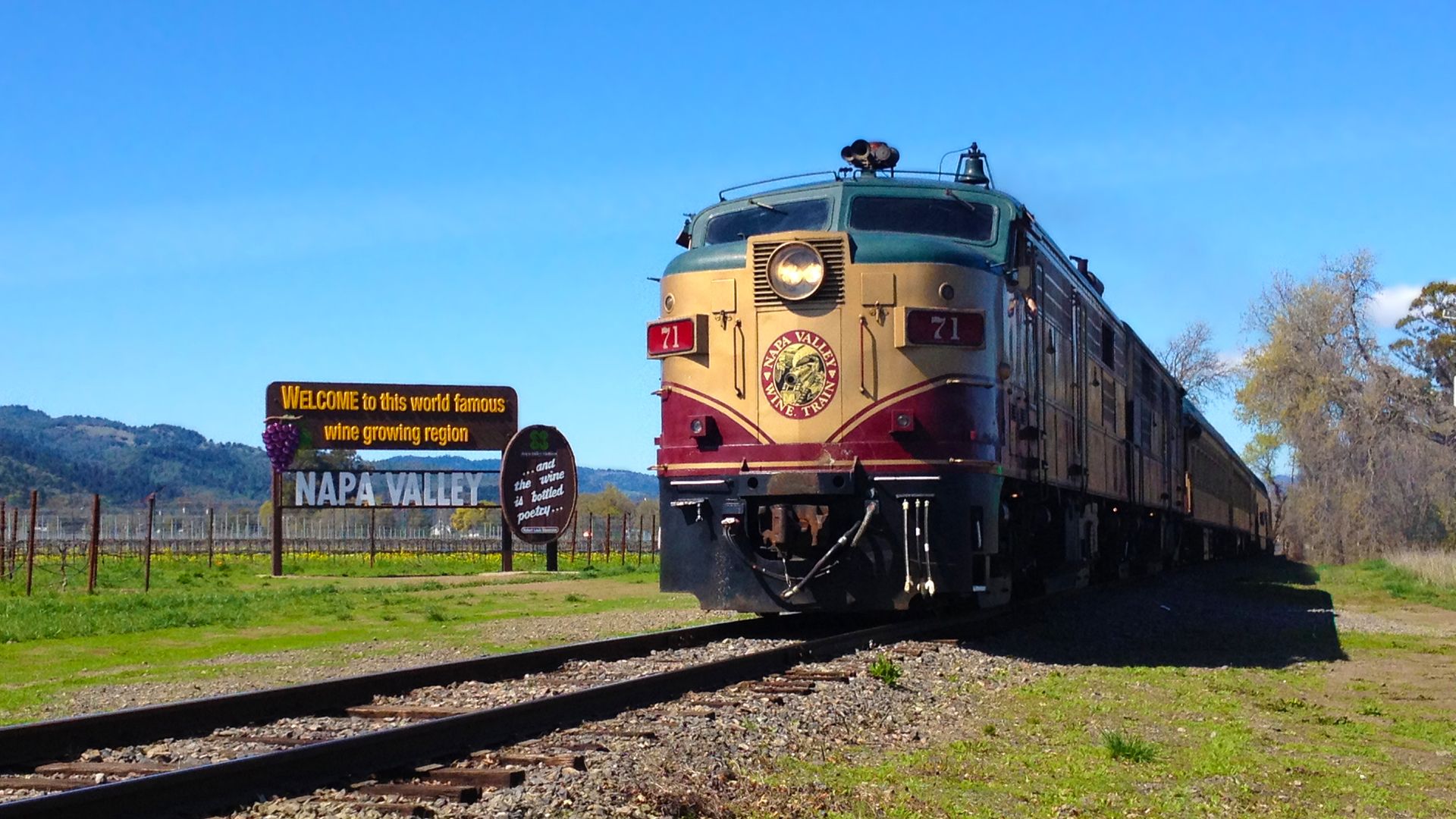 Napa Valley: Wine Train image 2