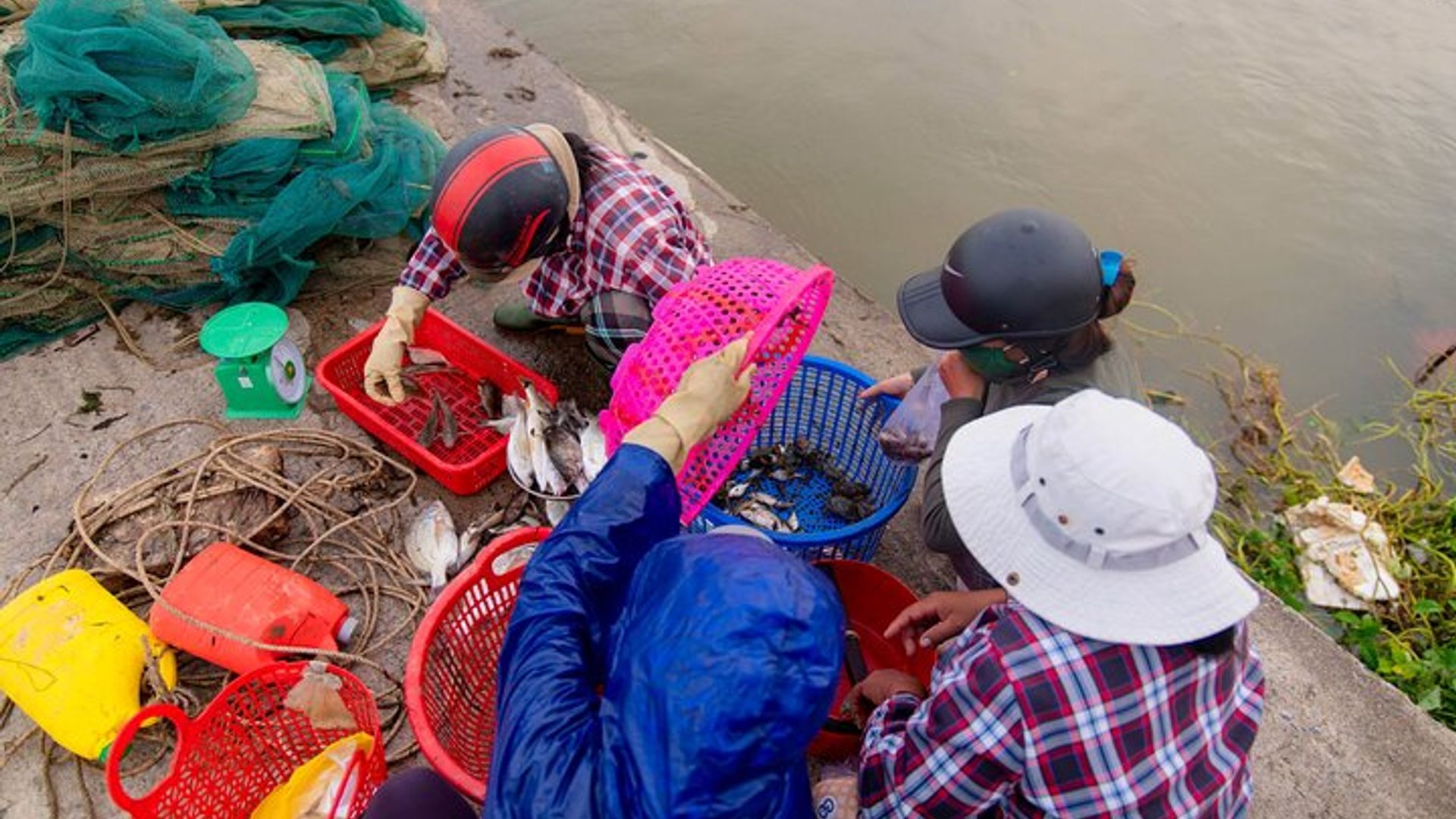 Tour fotográfico de salida o puesta del sol de Hoi An : privado o en grupos pequeños