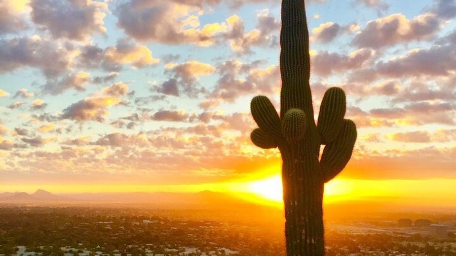 Sonoran Desert Sunrise or Sunset Guided Hiking Adventure