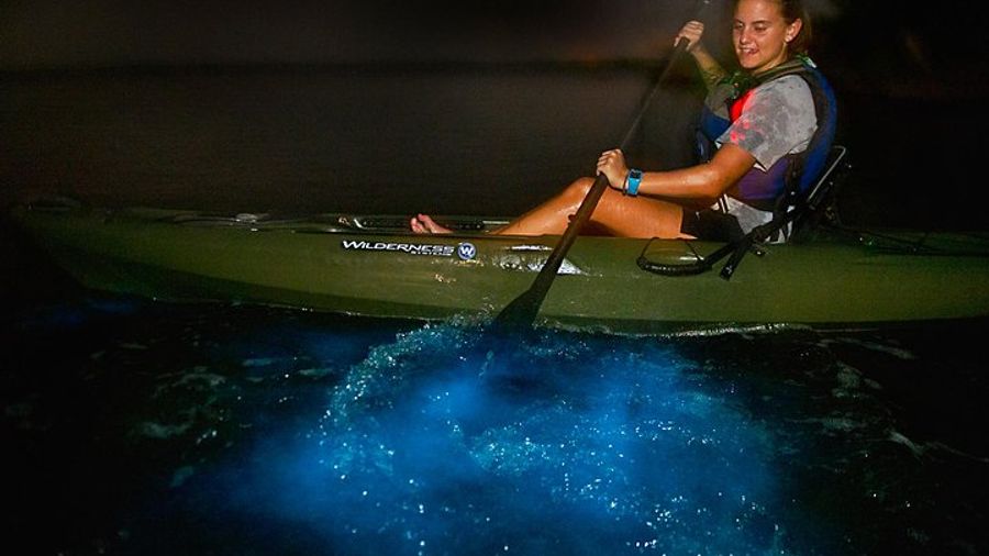 Bioluminescence Kayak Tour