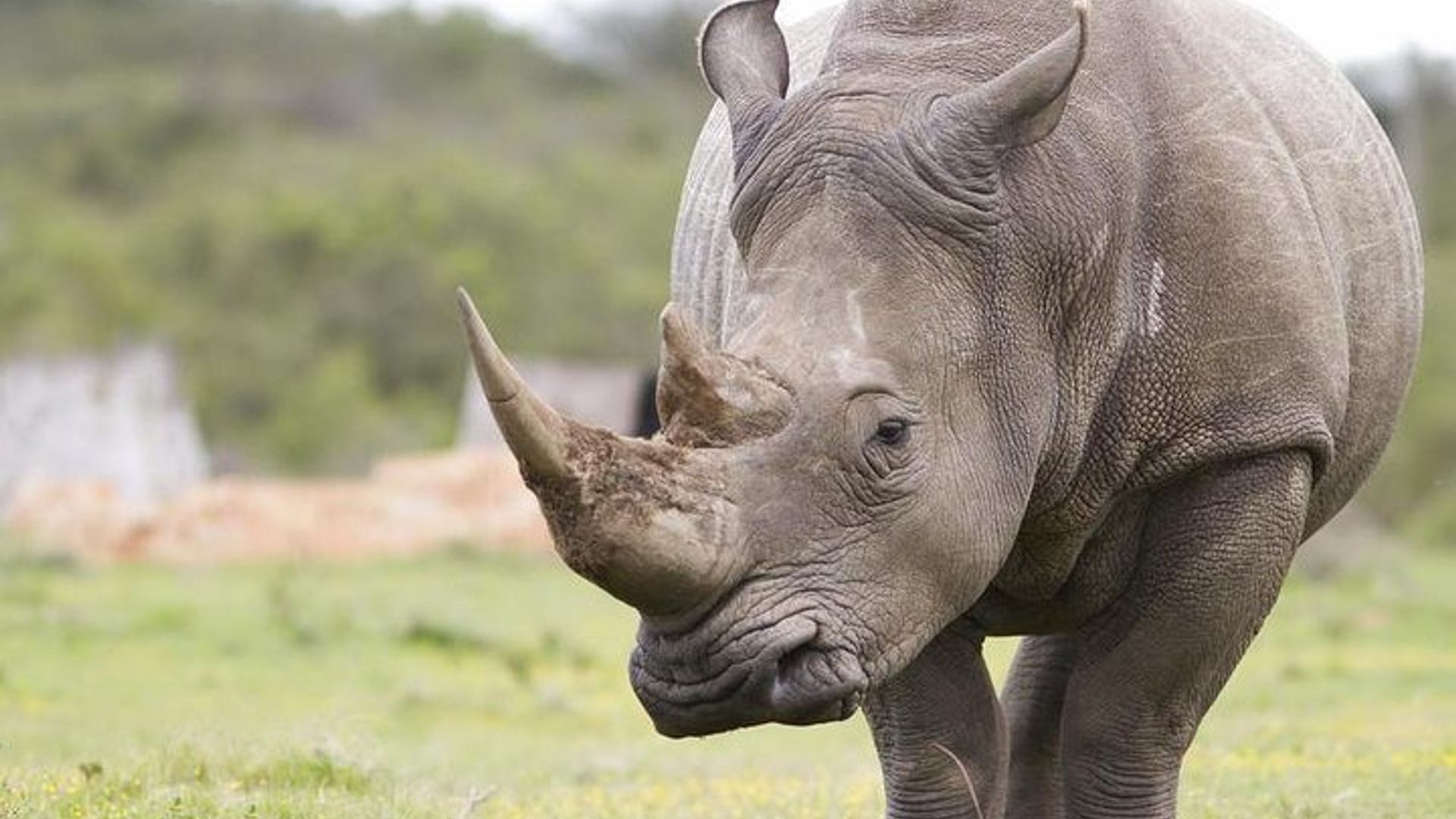 Johannesburg à Cape Town Safari privé de 10 jours