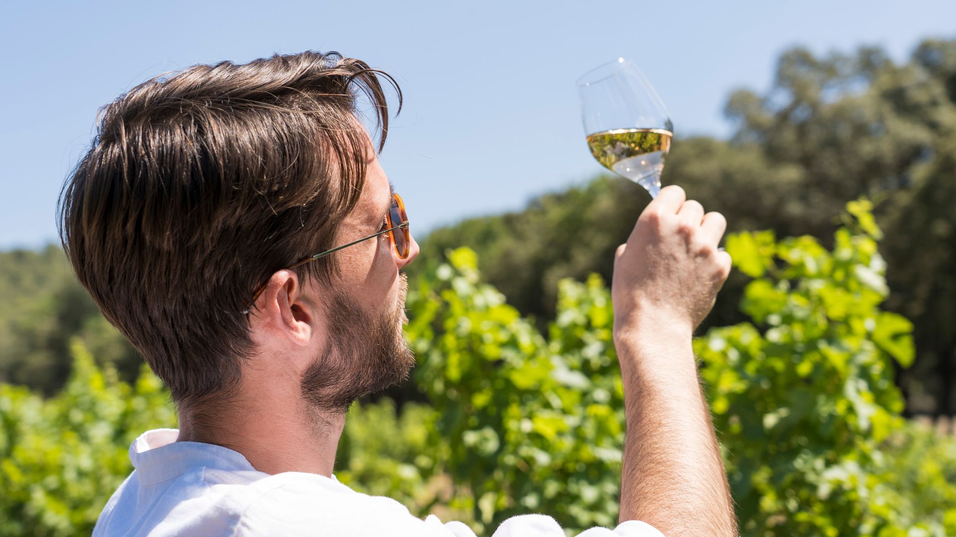 Provence Wine and Luberon Villages