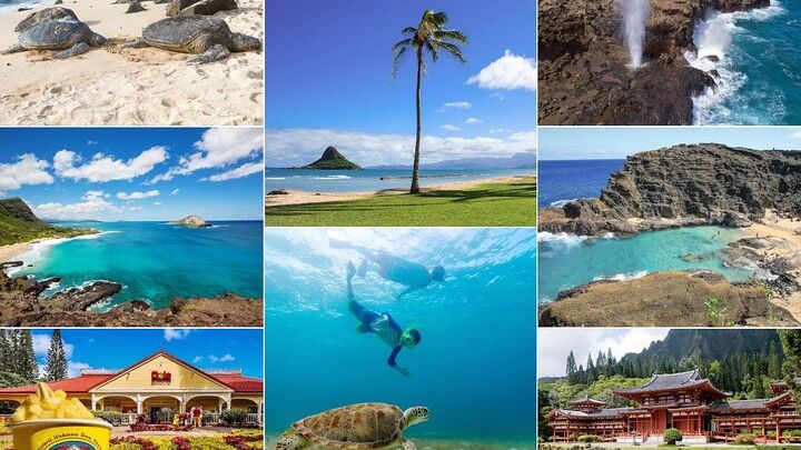 Oahu: Circle Island + Snorkel, Small-Group Tour From Waikiki