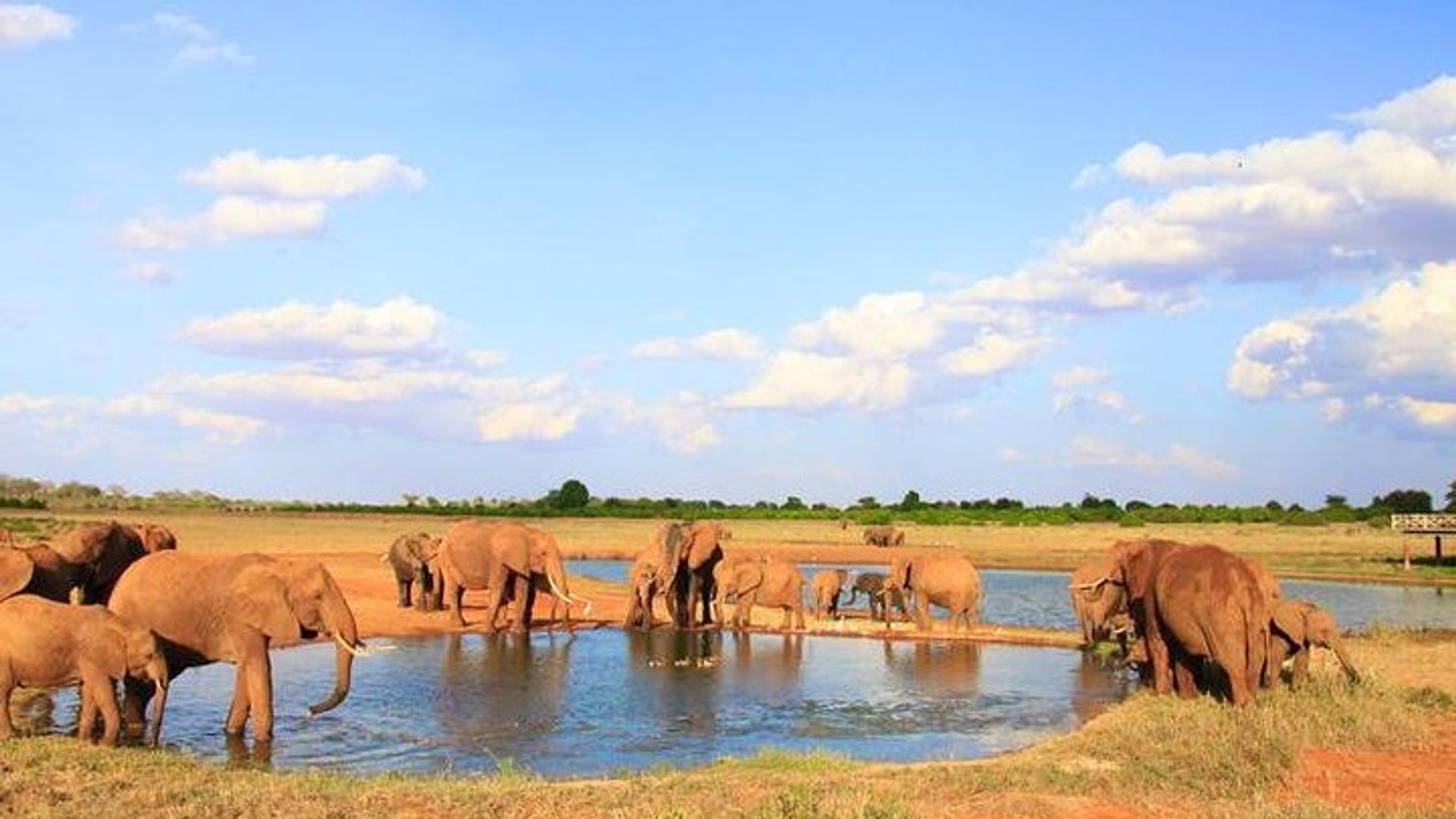 Safari animalier de 2 jours à Tsavo East - Au départ de Mombasa
