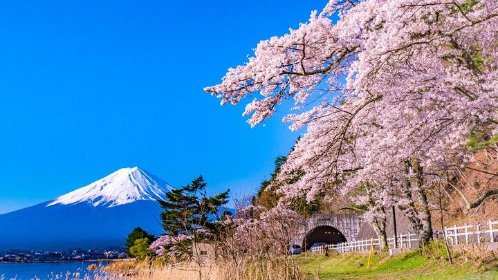Mt. Fuji From Multiple Angles + Photo Spots: Tour From Tokyo