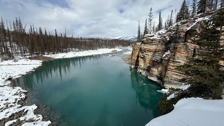 Jasper Tour to Abraham Ice Bubbles and Sunwapta Falls