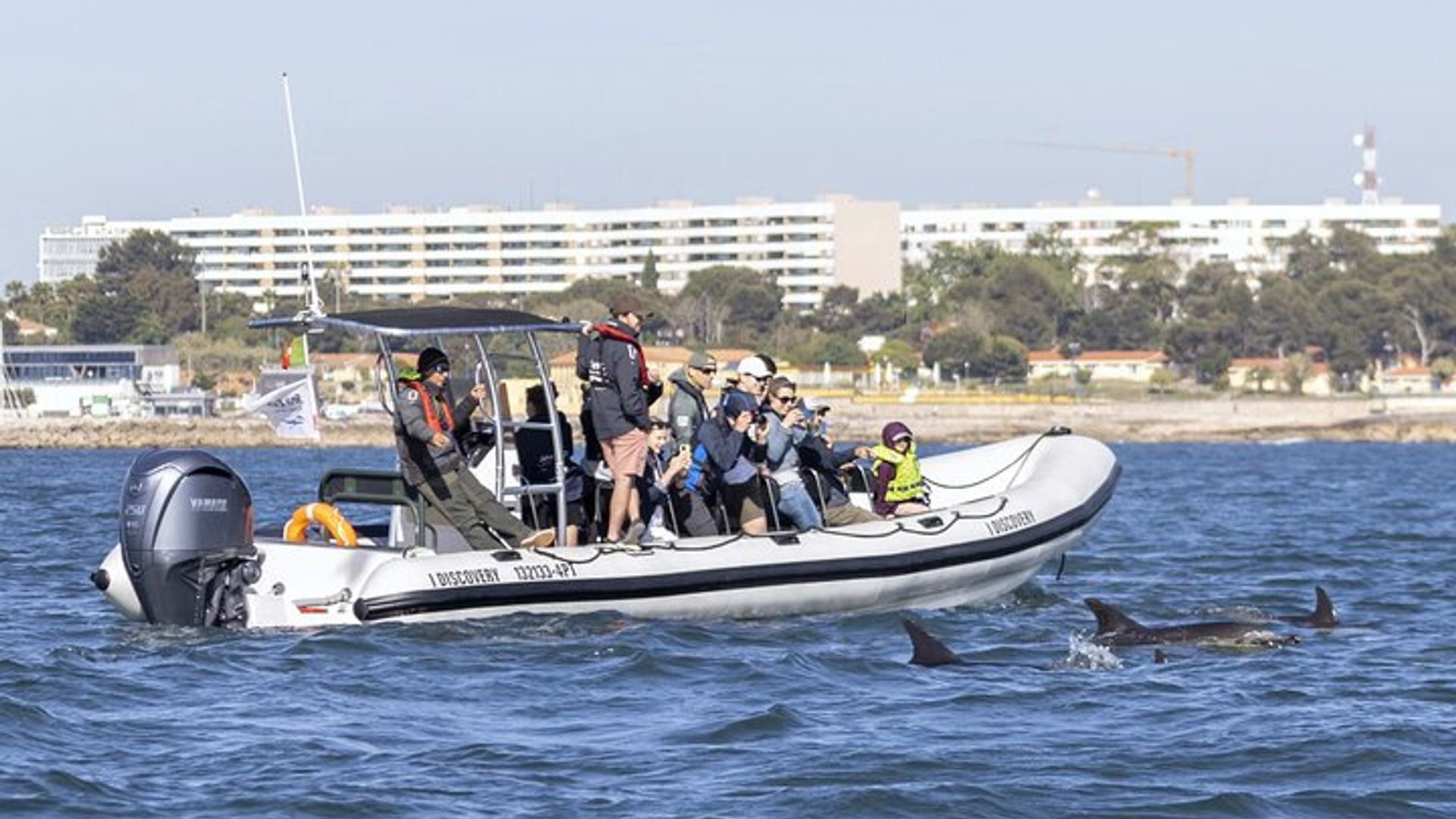 Croisière d'observation des dauphins en petit groupe à Lisbonne