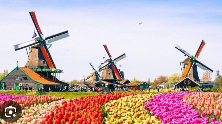 Amsterdam: Zaanse Schans, Volendam, and Cheese Private Tour