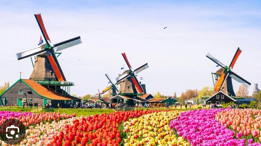 Amsterdam: Zaanse Schans, Volendam, and Cheese Private Tour