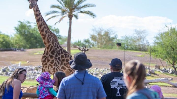 Phoenix Zoo: Entry Ticket