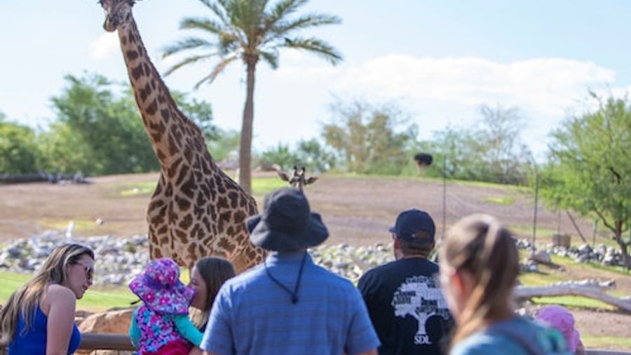 Phoenix Zoo: Entry Ticket