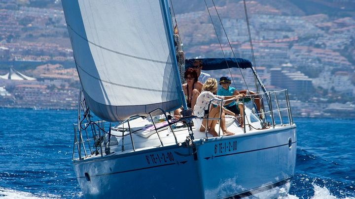 Tenerife Half-Day Small-Group Snorkel, Whale Watching Cruise