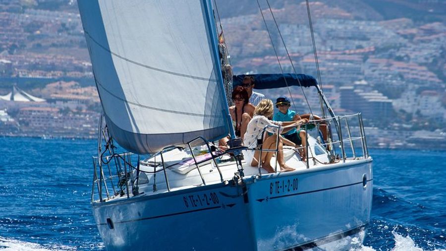 Tenerife Half-Day Small-Group Snorkel, Whale Watching Cruise