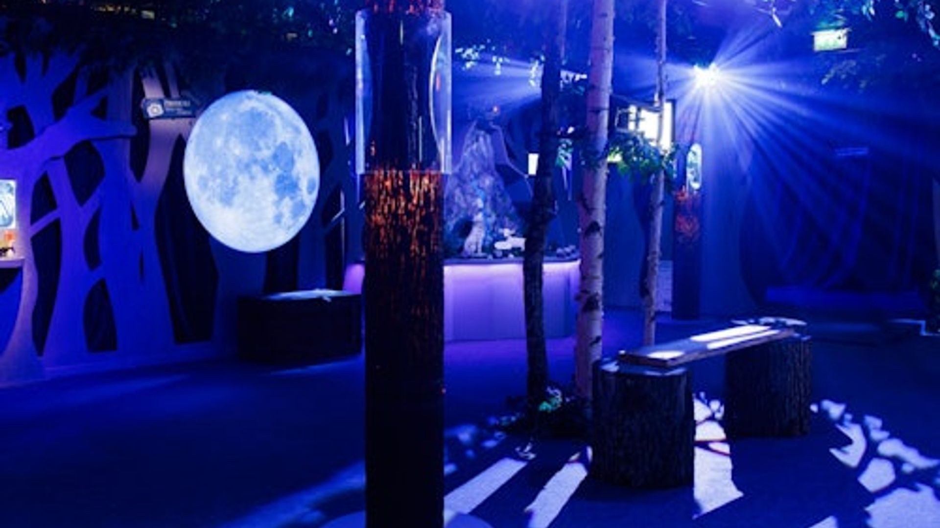 Paris: La Cité Immersive des Fables