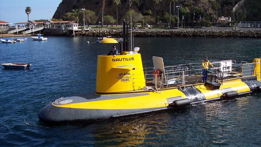 Catalina Island 45-Minute Semi-Submarine Tour From Avalon