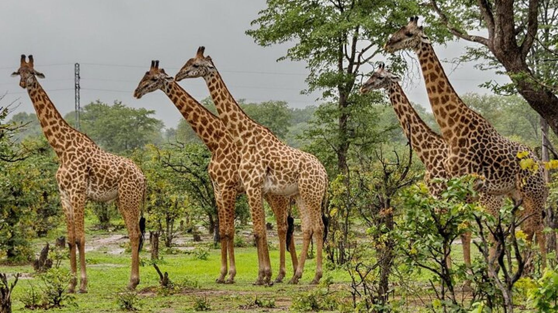 Garden Route 4 Day Small Group tour from Cape Town Starts Any Day
