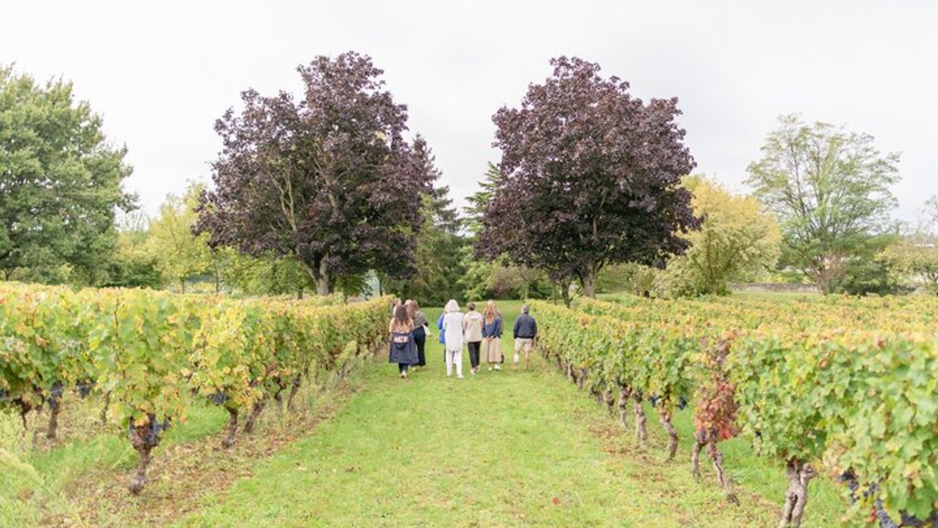 Weinprobe mit dem Winzer auf Domaine Beaumont Distré-Saumur