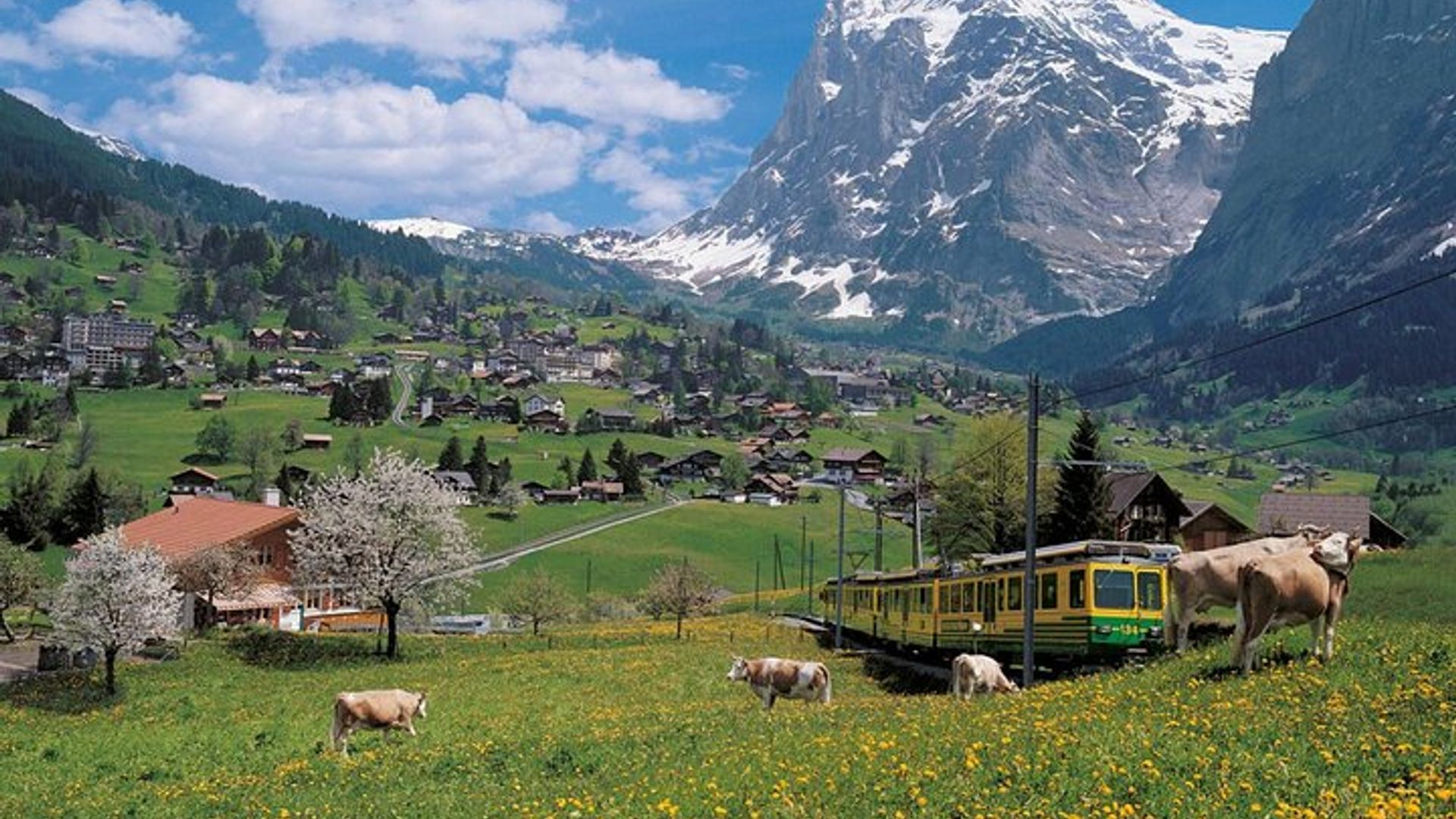 Bâle : Visite guidée des Alpes suisses, de Lauterbrunnen et des grottes de Beatus