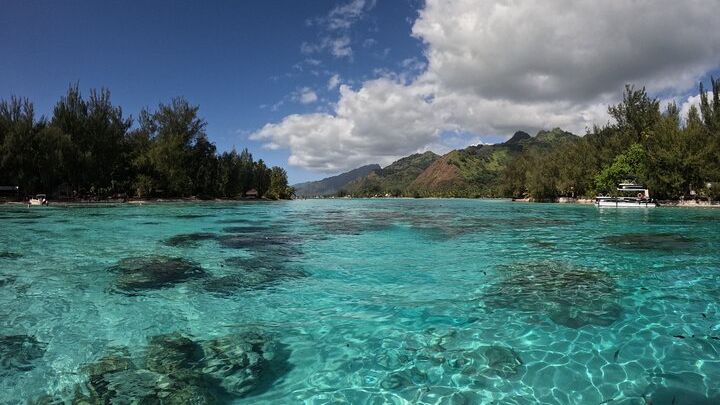 Aquablue Moorea