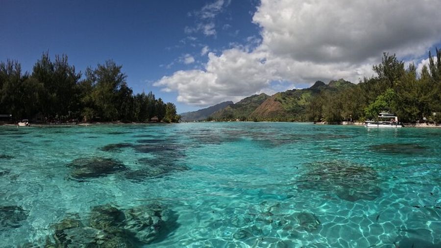 Aquablue Moorea