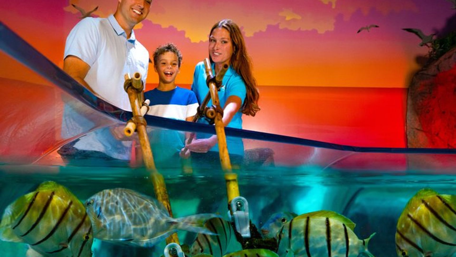 Orlando : Acuario SEA LIFE, Entradas ICON Park, Plus Upgrades