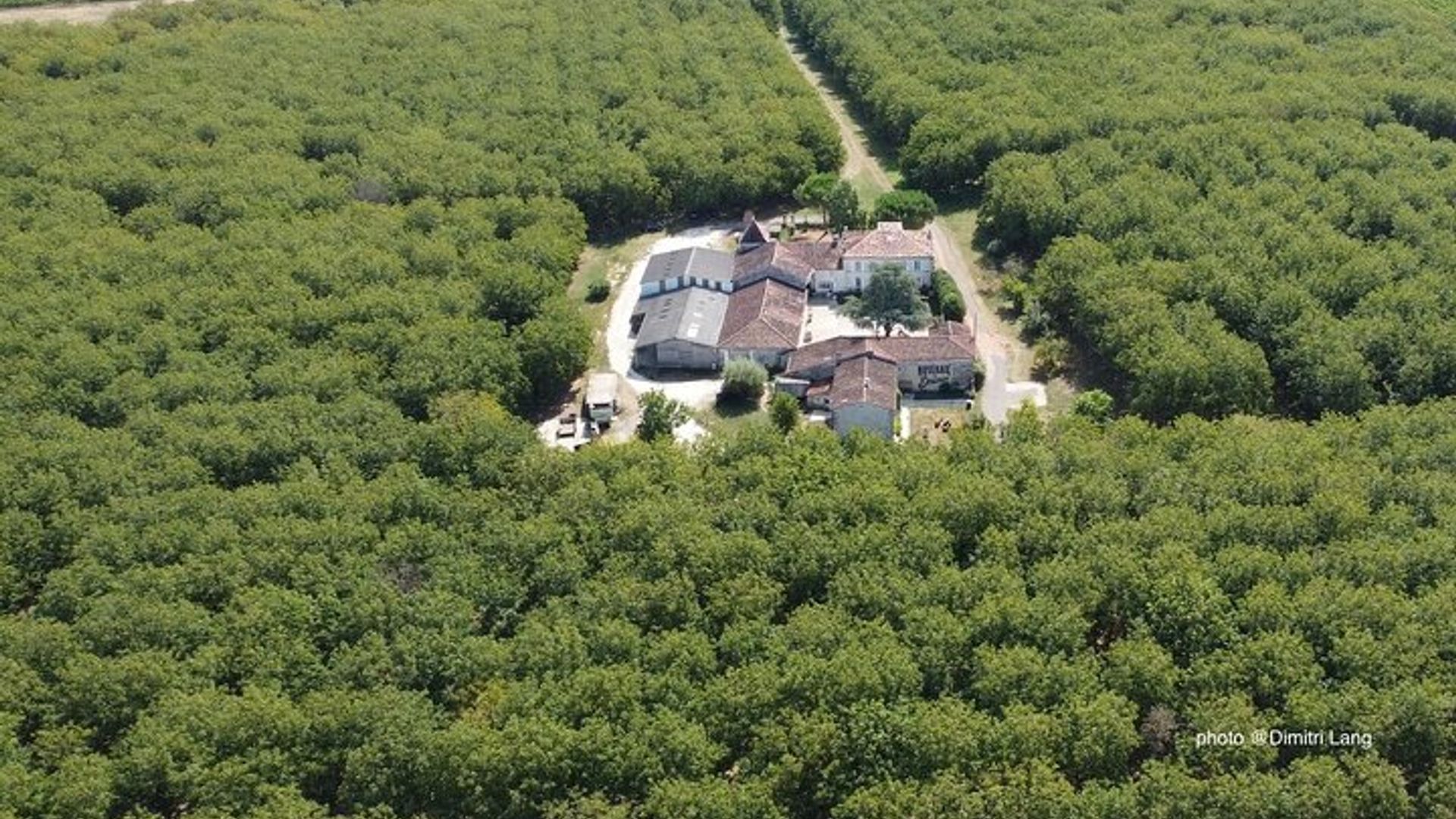 property.imageAlt