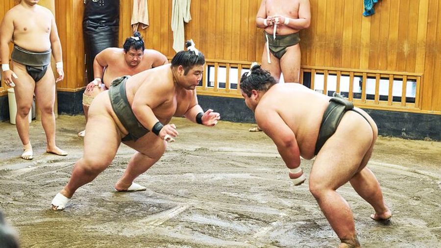 Tokyo Sumo Stable Morning Practice Viewing