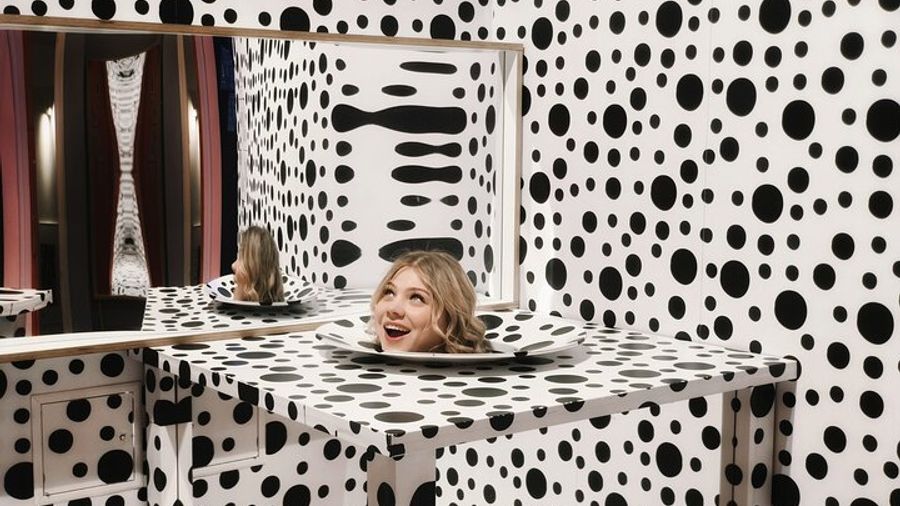 Ljubljana House of Illusions Admission