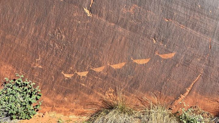 Horseshoe Bend Kayak Tour with Ancient Petroglyph Viewing