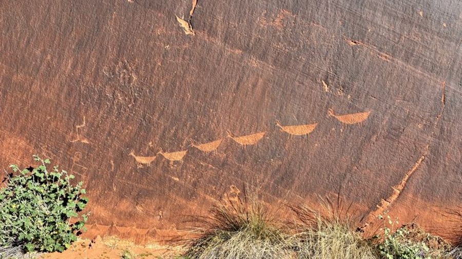 Horseshoe Bend Kayak Tour with Ancient Petroglyph Viewing