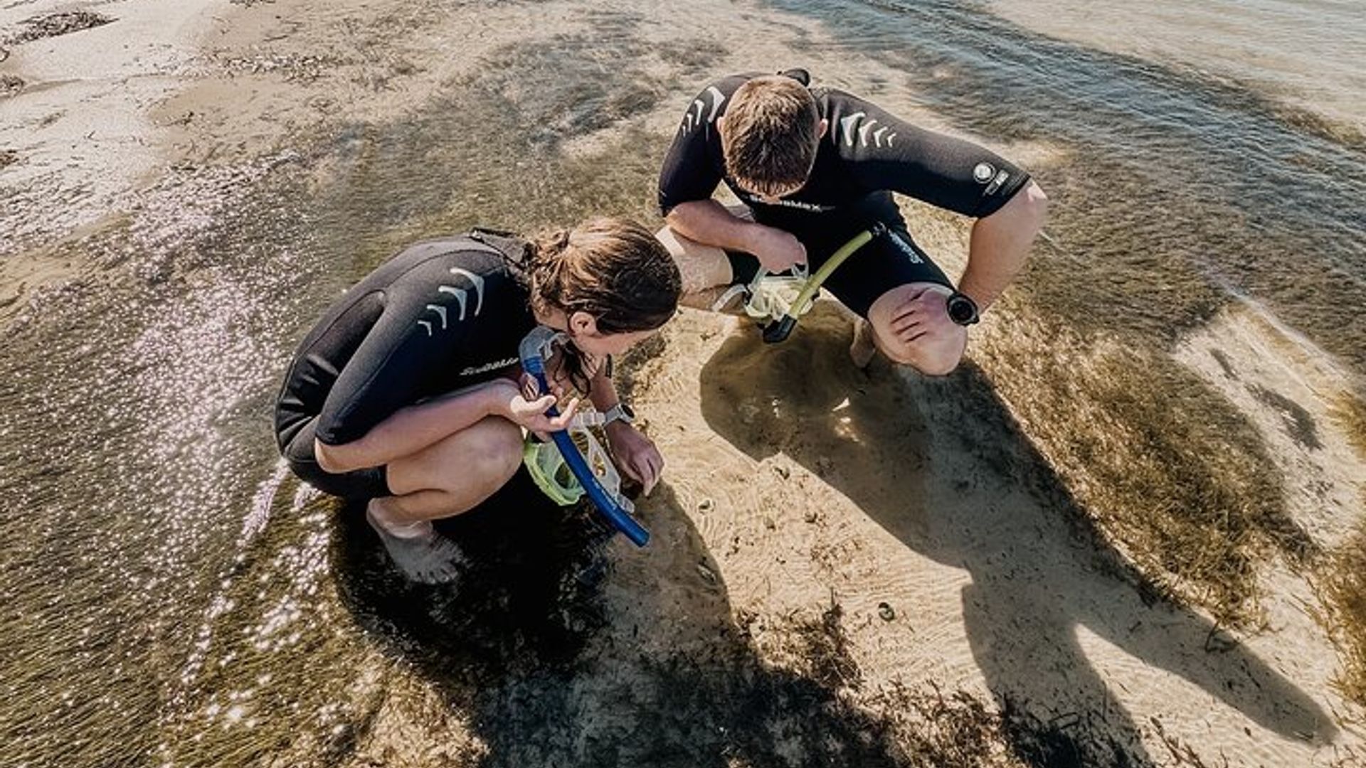 Destin Two Stop Snorkeling and Shelling Adventure