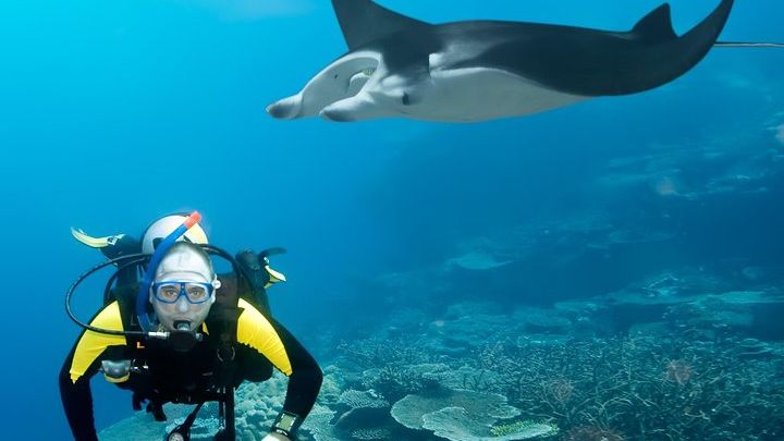 Sal Island: Small-Group Double-Diving Session