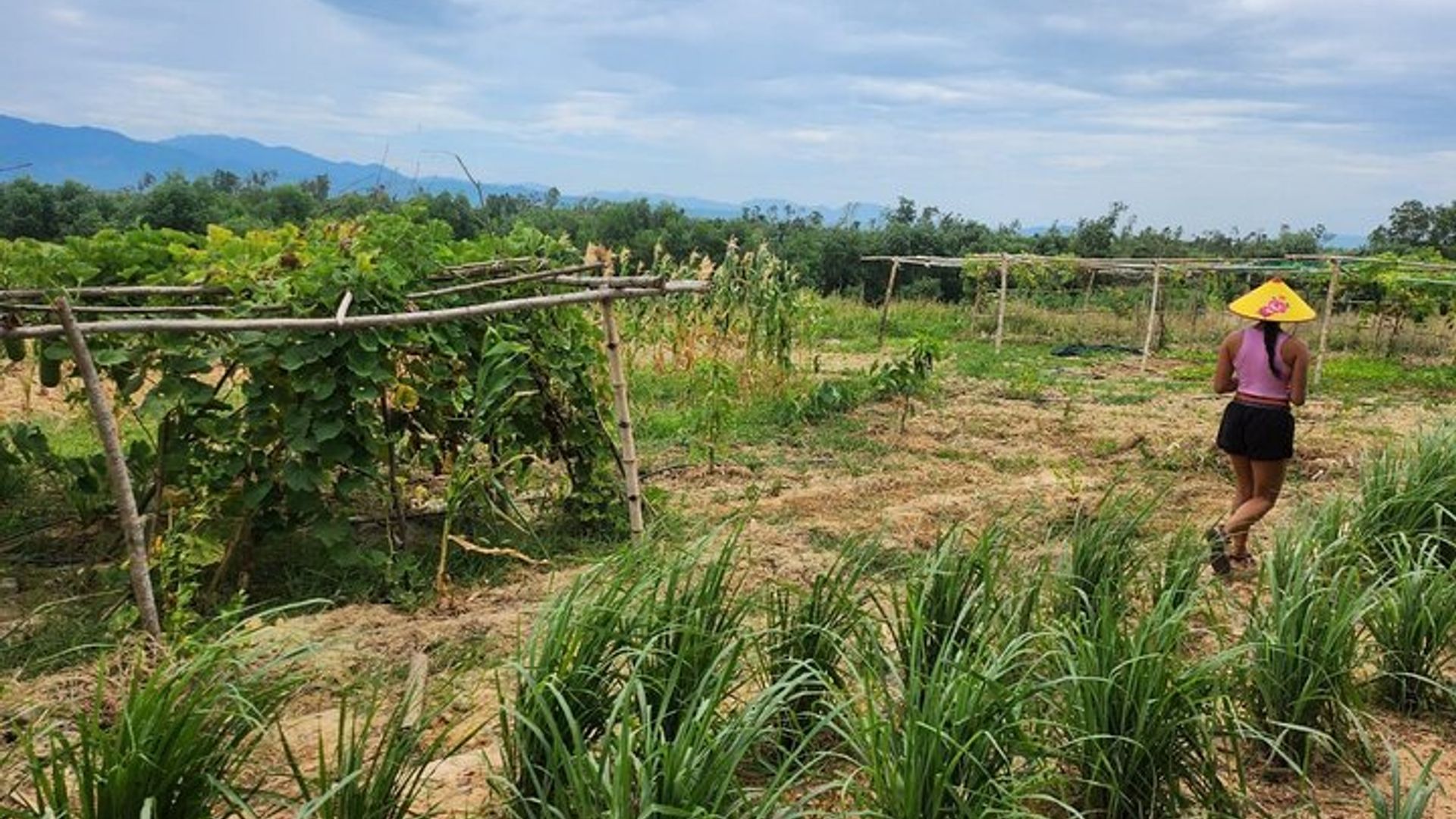 Aventure en quad à Hoi An avec déjeuner barbecue