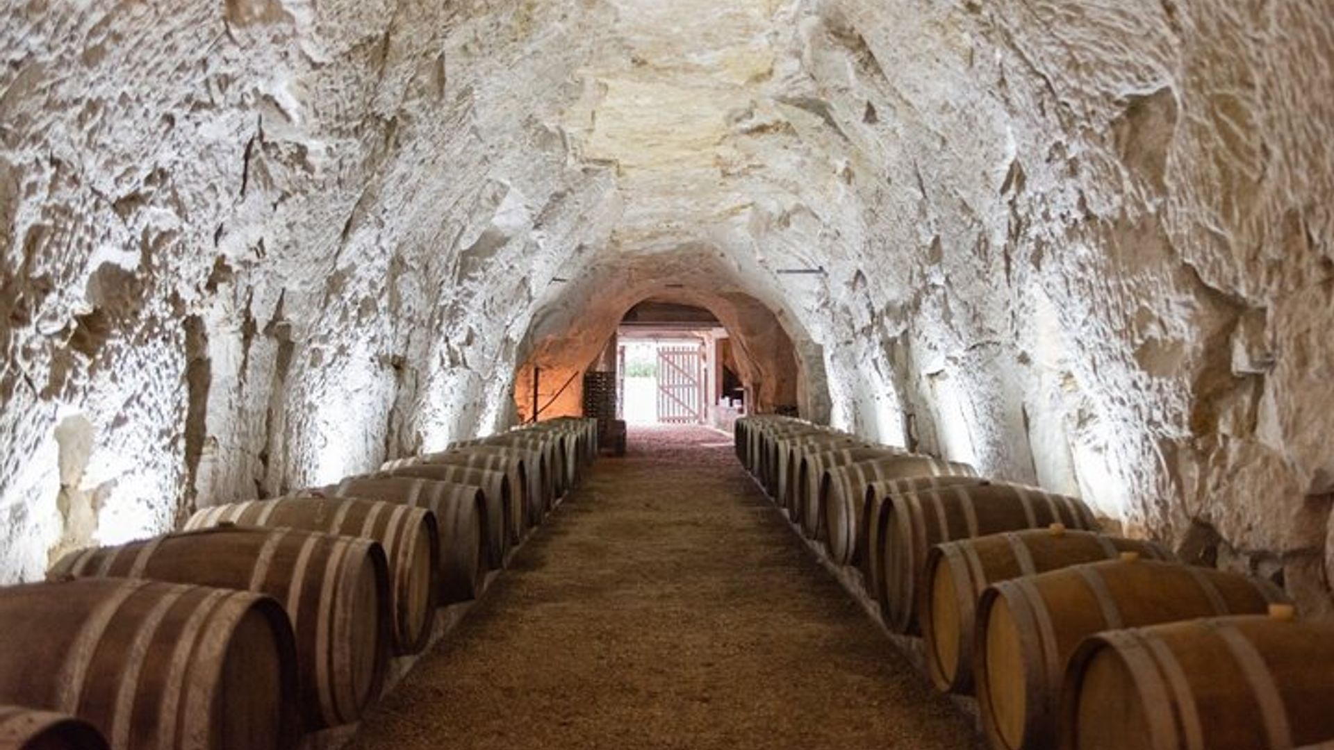 Dégustation de vin avec le vigneron au Domaine Beaumont Distré-Saumur