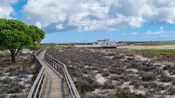 Half Day Walking Tour in Ria Formosa Nature Park