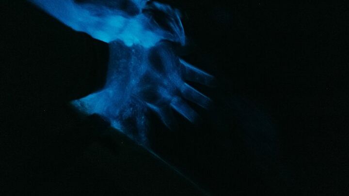 Cocoa Beach Clear-Bottom Kayaking Bioluminescent Tour