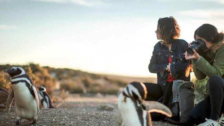 Estancia San Lorenzo: Home to the Largest Penguin Colony