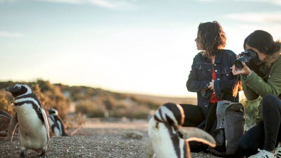Estancia San Lorenzo: Home to the Largest Penguin Colony