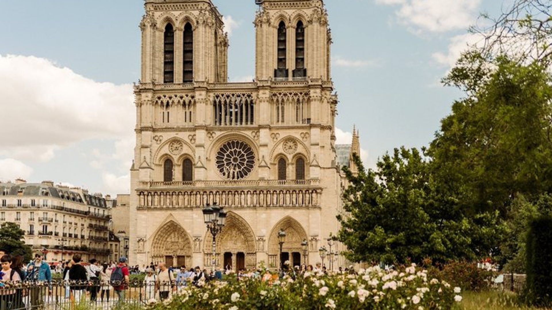 Paris Highlights Tour: Eiffel Tower, Notre Dame & Louvre Entry