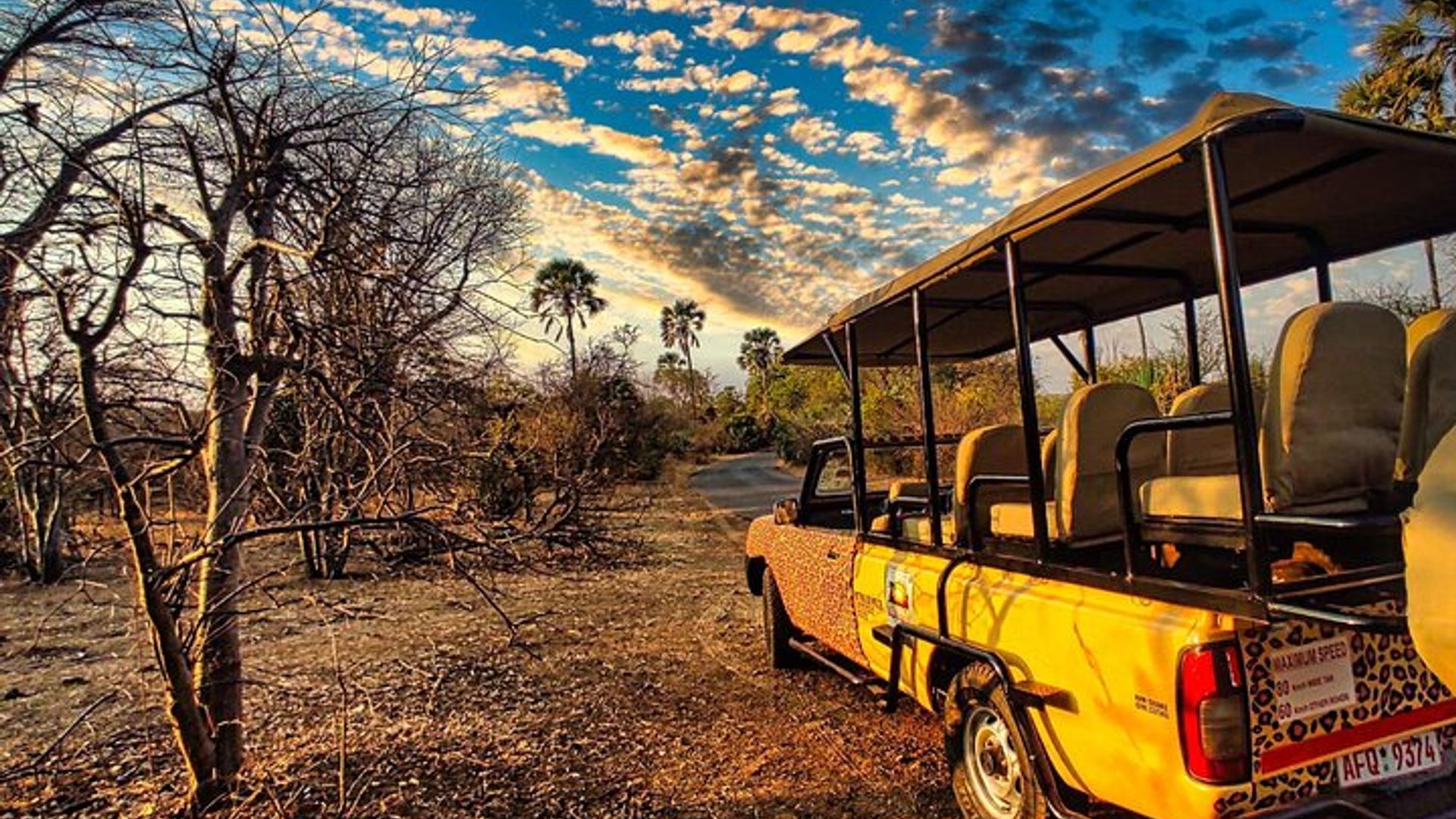Private Safari with 4WD around the sights of Victoria Falls Town