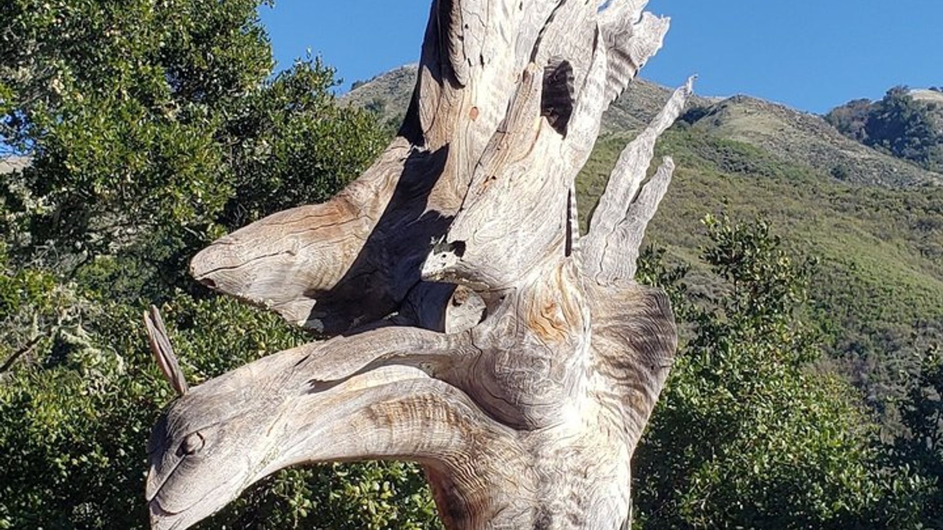 Big Sur McWay Falls opt 4 or 5 Hour Private Tour up to 12 ppl