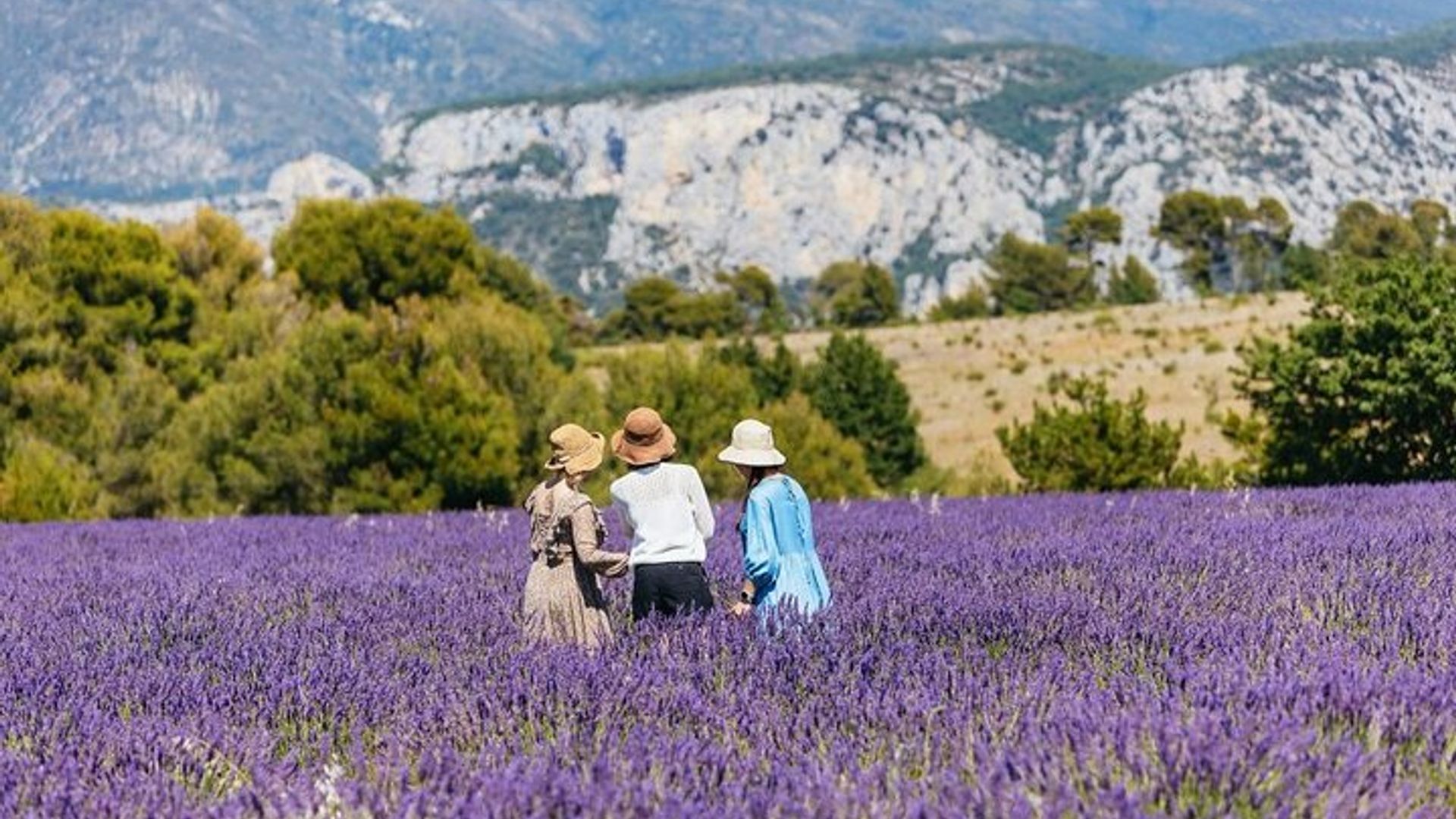 Tour privado de Gargantas de Verdon y Campos de lavanda en Niza
