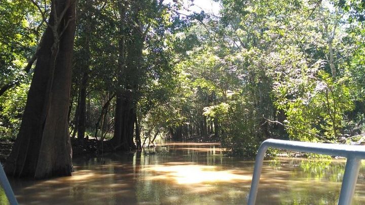 4 Days Amazon Jungle Adventure Tour
